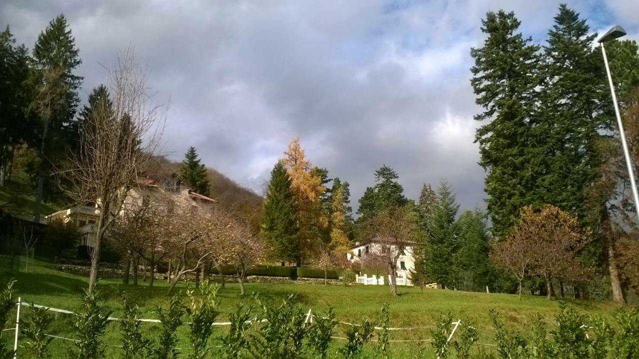 D&D Ponte Trebbia Bed & Breakfast Torriglia Eksteriør bilde